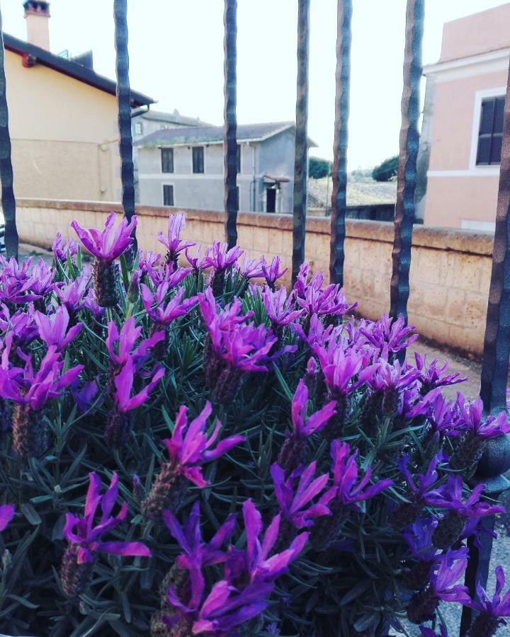 Il Palazzetto Sulla Francigena Apartment Formello Exterior foto