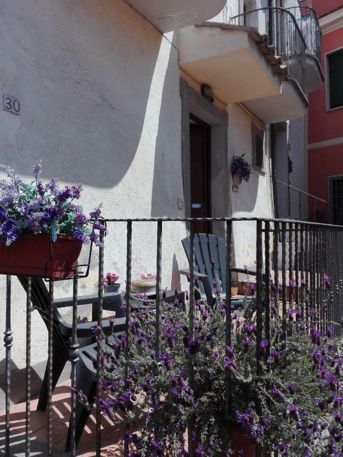 Il Palazzetto Sulla Francigena Apartment Formello Exterior foto