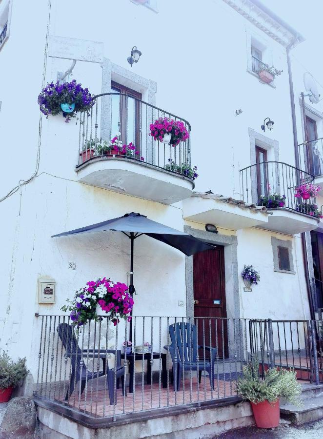 Il Palazzetto Sulla Francigena Apartment Formello Exterior foto